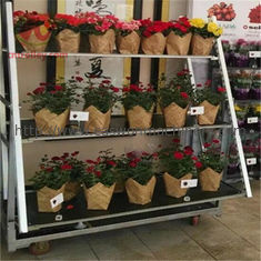 Θερμοκηπίων δανικό λουλουδιών δοχείο εγκαταστάσεων καροτσακιών 500kgs μεγάλο στις ρόδες Dia5»