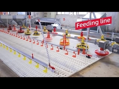 Καυτός εξοπλισμός φαρμάτων πουλερικών σχεδίου κοτετσιών κοτόπουλου πώλησης αυτόματος