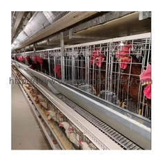 Αυτόματο σύστημα κλουβιών στρώματος αυγών κοτόπουλου μπαταριών εξοπλισμού καλλιέργειας πουλερικών στρώματος τύπων Χ